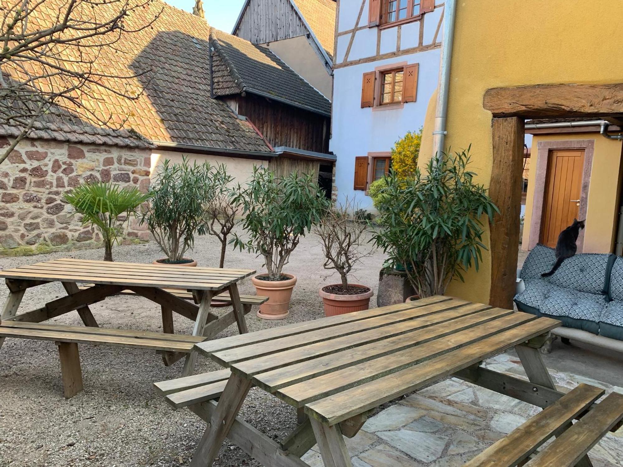 Chez Suzel Lägenhet Hunawihr Exteriör bild